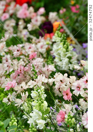 全国都市緑化よこはまフェア・日本大通り会場 32474792