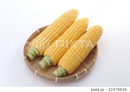 トウモロコシ 32478636