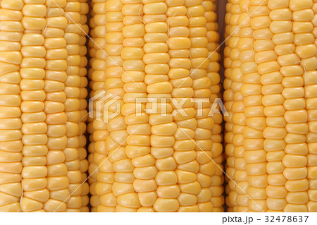 トウモロコシ 32478637