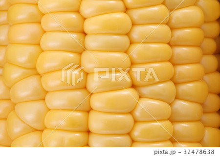 トウモロコシ トウモロコシ 32478638