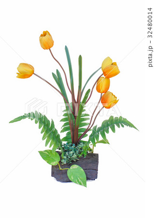 flowerpot isolated 32480014