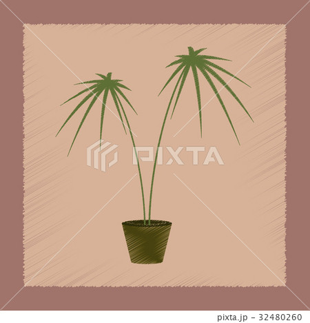 flat shading style Illustrations plant Cyperus flat shading style Illustrations plant Cyperus 32480260