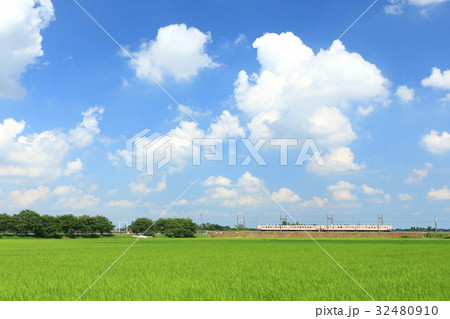 東武日光線「真夏の空と田園風景」 東武日光線「真夏の空と田園風景」 32480910