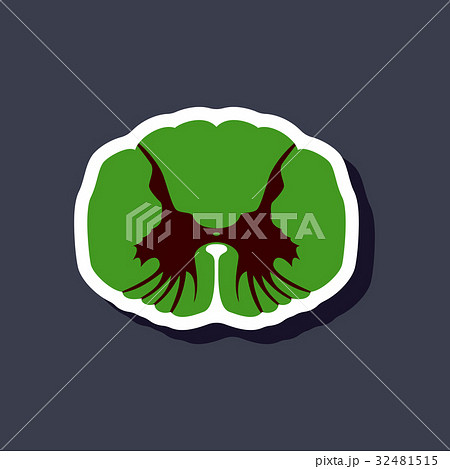 paper sticker on stylish background spinal cord 32481515