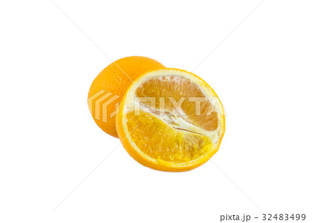 orange fruit orange fruit 32483499