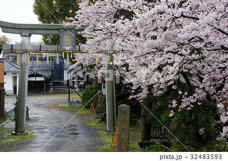 金井戸神社（三栖神社御旅所） 32483593