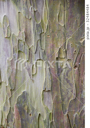 wood beside of raod for background 32484484