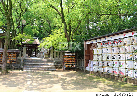 神戸　湊川神社 32485319