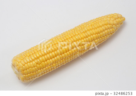 採れたてのとうもろこし 32486253