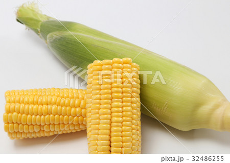 採れたてのとうもろこし 32486255