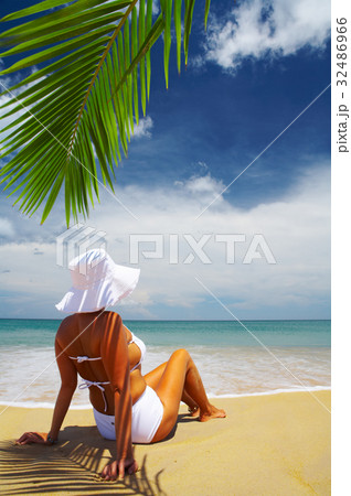 tropical bliss tropical bliss 32486966