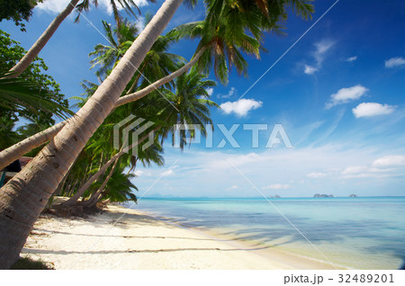 palm beach palm beach 32489201