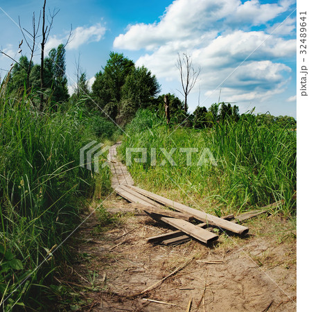 The path is covered with boards on the riverbank 32489641