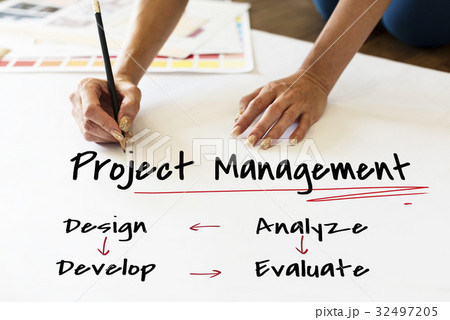 Project management business organization strategy 32497205