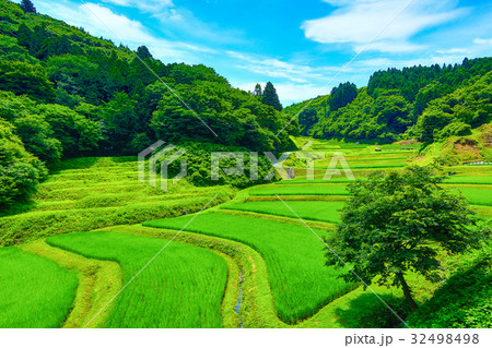 石畑の棚田 32498498