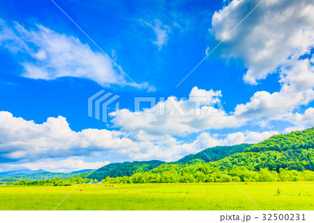 北海道 大自然 牧場 32500231