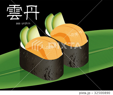 ウニの寿司のリアルイラスト 握り寿司のイラスト素材