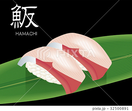 ハマチ ブリ の寿司のリアルイラスト 握り寿司のイラスト素材