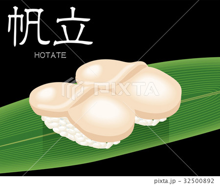 ホタテの寿司のリアルイラスト 握り寿司のイラスト素材