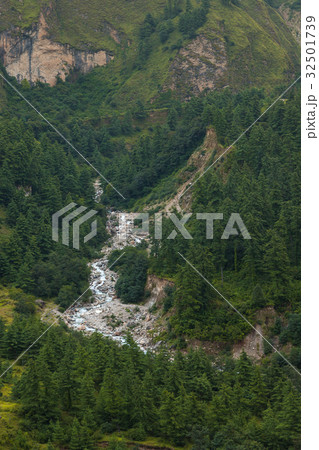 Alpine landscape with forest and stream. Alpine landscape with forest and stream. 32501739