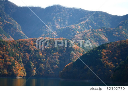 奥多摩湖の紅葉 奥多摩湖の紅葉 32502770