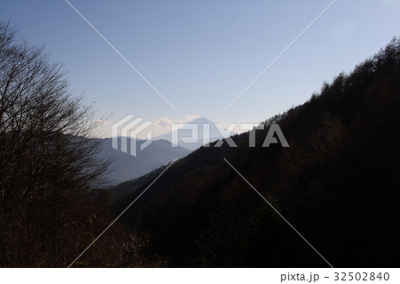 柳沢峠からの富士山 32502840