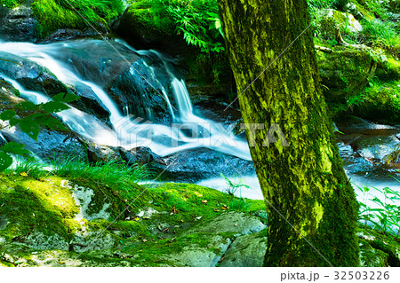 涼しい谷川の流れ 涼しい谷川の流れ 32503226