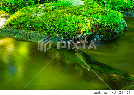 涼しい谷川の流れ 32503231