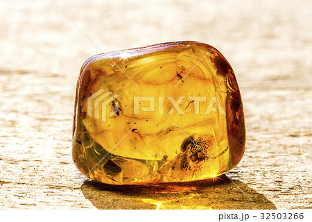 Amber with embedded insect 32503266
