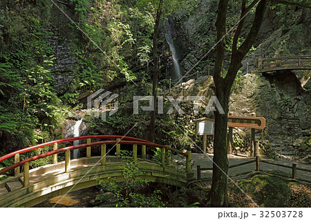 黒山三滝・男滝と女滝 越生町 黒山三滝・男滝と女滝 越生町 32503728