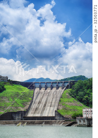 若返り 桃畑 モモ畑 32503771