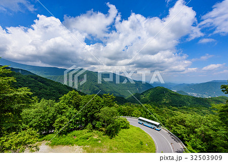 夏のいろは坂の写真素材