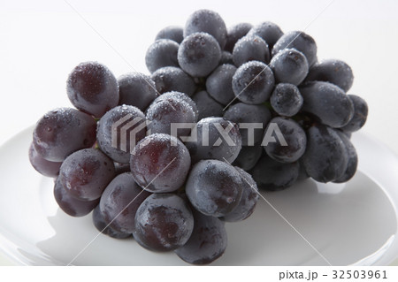 ぶどう ブドウ 葡萄 ピオーネ ぶどう ブドウ 葡萄 ピオーネ 32503961