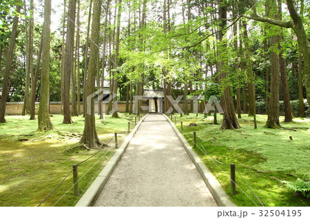 唐招提寺境内鑑真和上御廟への参道 32504195