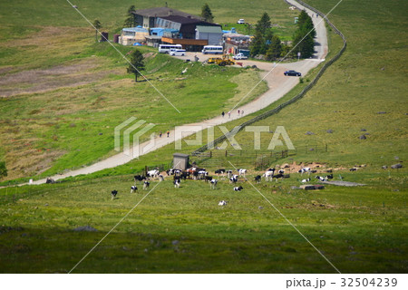 牛伏山より放牧地を俯瞰 牛伏山より放牧地を俯瞰 32504239