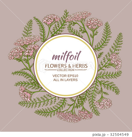 yarrow vector frame 32504549