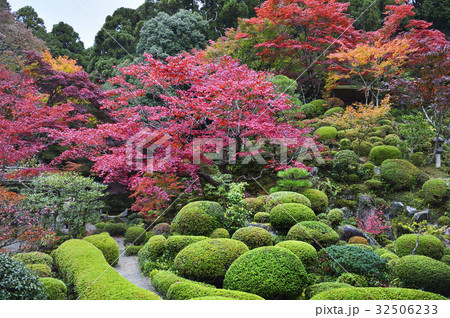金剛輪寺　名勝庭園　名園古庭 32506233
