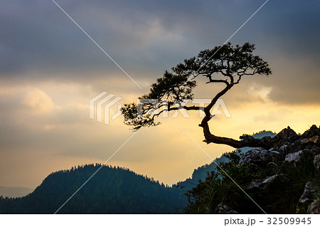 Sokolica peak in Pieniny Mountains, Poland 32509945
