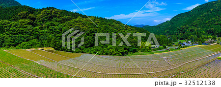清水棚田の水張り風景 長崎 雲仙市 パノラマ 清水棚田の水張り風景 長崎 雲仙市 パノラマ 32512138