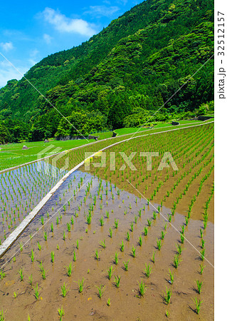 清水棚田の水張り風景 長崎 雲仙市 清水棚田の水張り風景 長崎 雲仙市 32512157