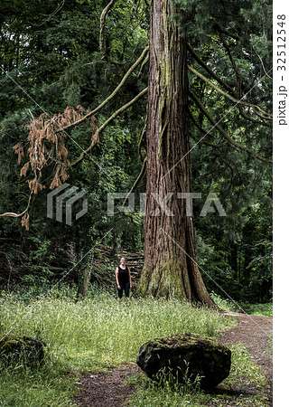 German National Park hiking girl on trail beside a German National Park hiking girl on trail beside a 32512548