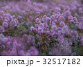 ピンクの花が咲き乱れる天国のような風景 32517182