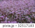 ピンクの花が咲き乱れる天国のような風景 32517183