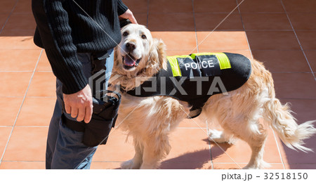Police dog with distinctive Police dog with distinctive 32518150