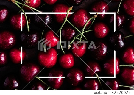 Dark cherries fruit pattern 32520025