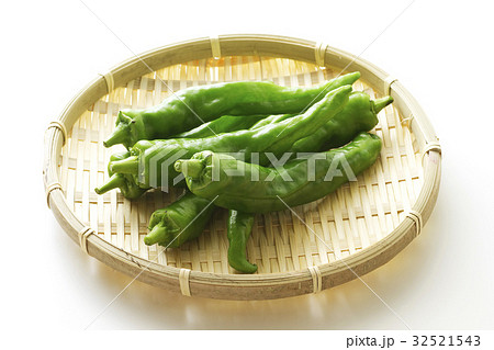 万願寺とうがらし12 32521543