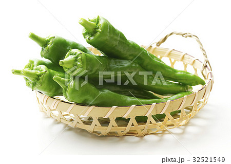 万願寺とうがらし5 32521549