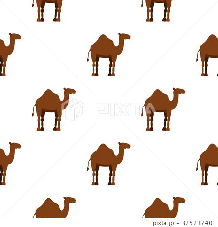 Dromedary camel pattern seamless Dromedary camel pattern seamless 32523740
