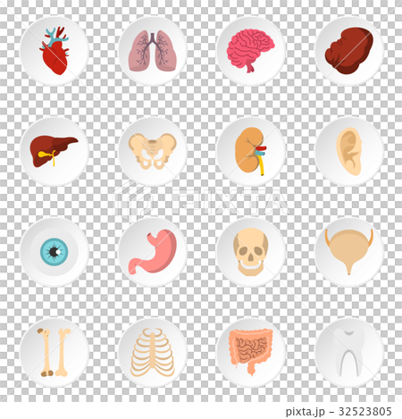 Human organs set flat icons 32523805