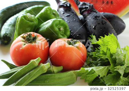 夏野菜 32525397